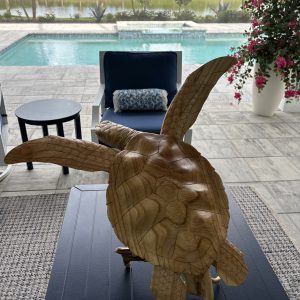Turtle