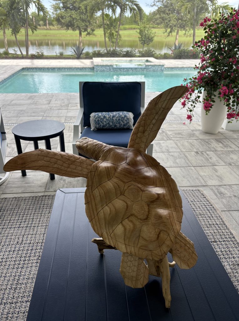 Turtle